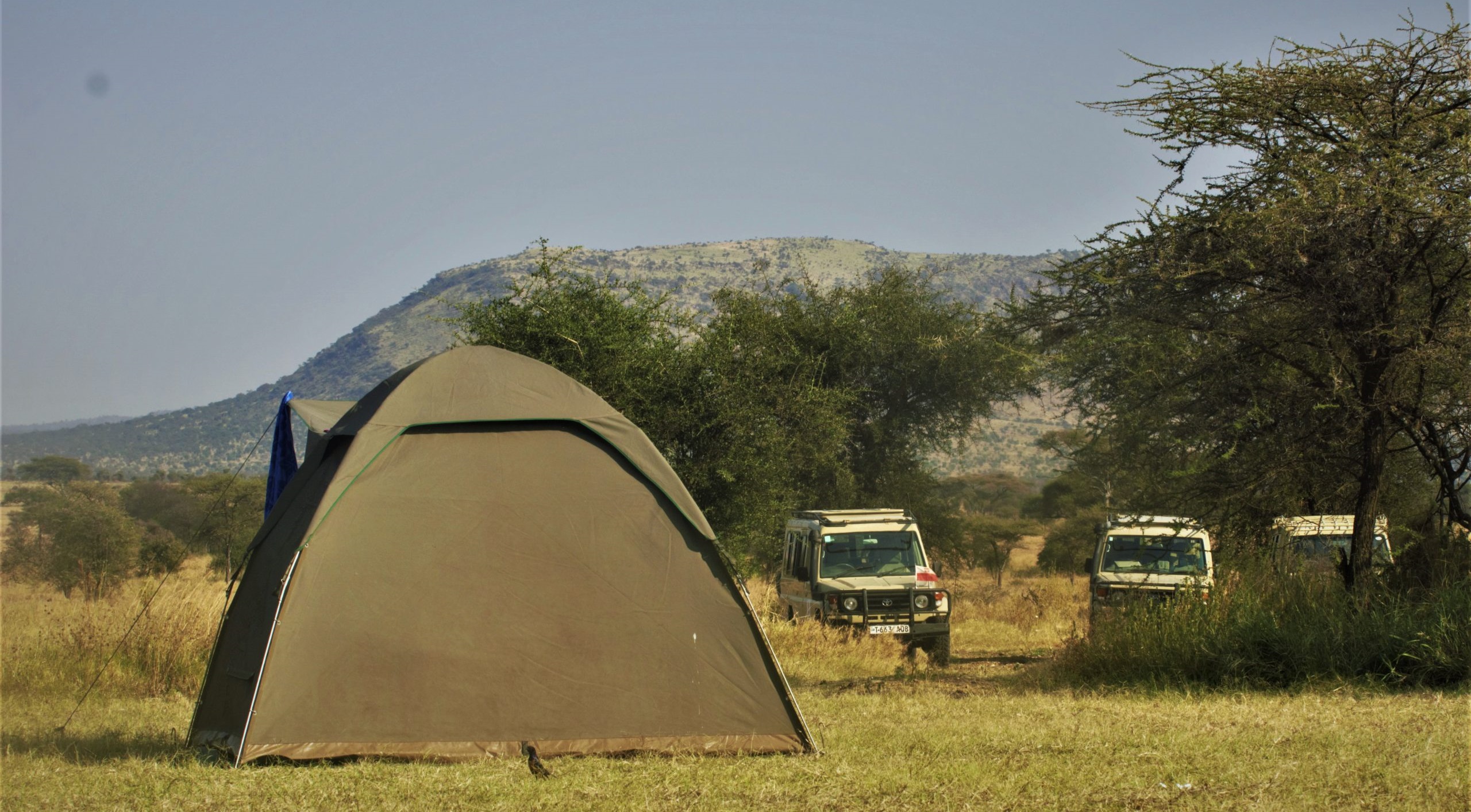 Camping safari