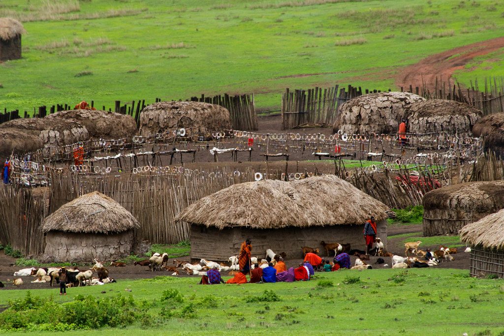  MAASAI BOMA VILLAGE 