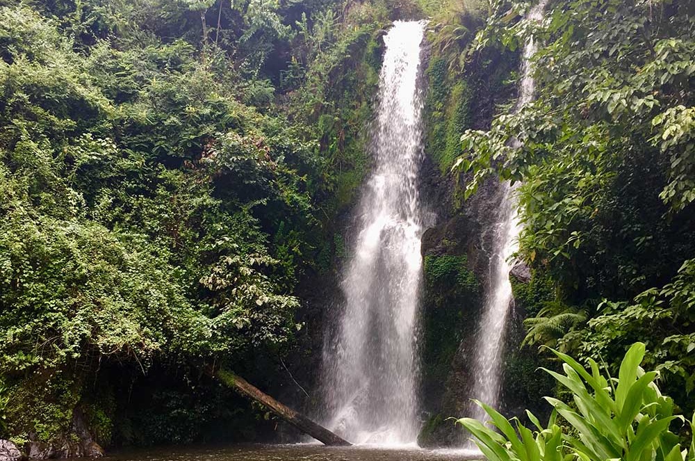  MARANGU WATERFALLS & CHAGGA TOUR 