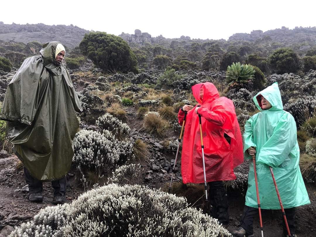  Is Kilimanjaro Technical to climb